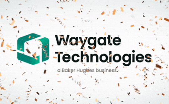 工業(yè)內窺鏡廠家Waygate Technologies介紹 工業(yè)內窺鏡廠家Waygate Technologies介紹