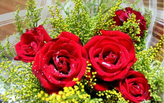 北京韋林意威特工業內窺鏡有限公司預祝大家新年快樂，喜樂安康！